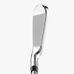 Paradym Ai Smoke Iron Set True Temper Dynamic Gold 105 Steel Custom Shaft