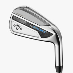 Paradym Ai Smoke Iron Set True Temper Dynamic Gold MD 115 Steel Custom Shaft